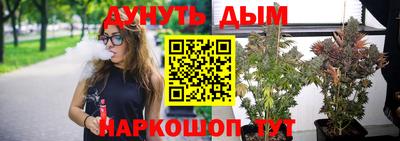 Альфа ПВП Пенза